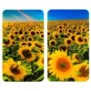 Wenko Couvre-plaques Tournesol (2 él.) -ELO Soldes Boutique 1000274134 210618 14064200379 IMAGE P000000001000274134