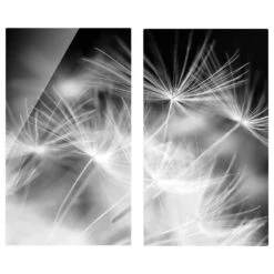 Protège-plaque De Cuisson Pissenlit