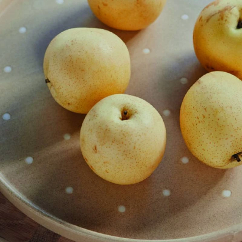 Plateau Blanc 2 Plateau Blanc – Image 2