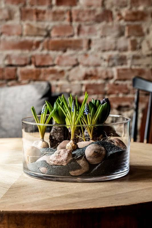 Glamour Saladier 24 cm 4 Glamour Saladier 24 cm – Image 4