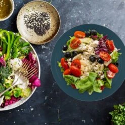 Saladier Bicolore En Lot De 2 33 Saladier Bicolore En Lot De 2 -ELO Soldes Boutique aef162e8d0cc4b2f9f8d877c622f1325