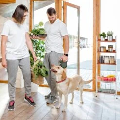 Étagère De Cuisine 5 Niveaux 19 Étagère De Cuisine 5 Niveaux -ELO Soldes Boutique e346f1946a0e4f77a685c3591ae0e949